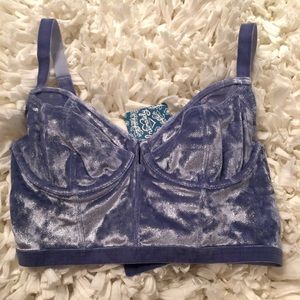 NWT FREE PEOPLE VELVET BRA 💙